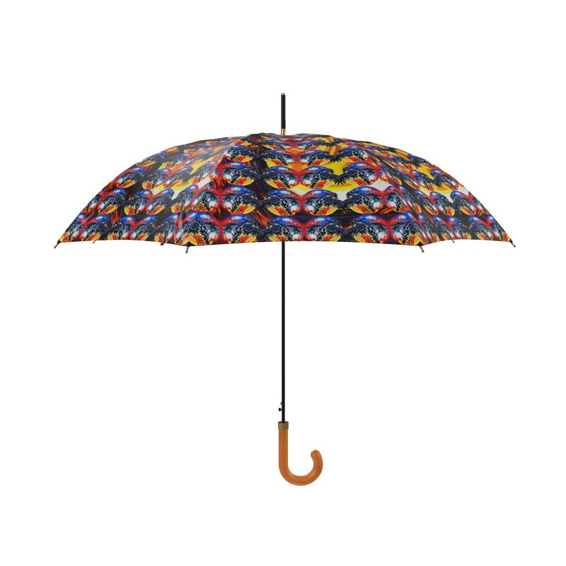 Luxury Umbrella by Daisy Inferno
